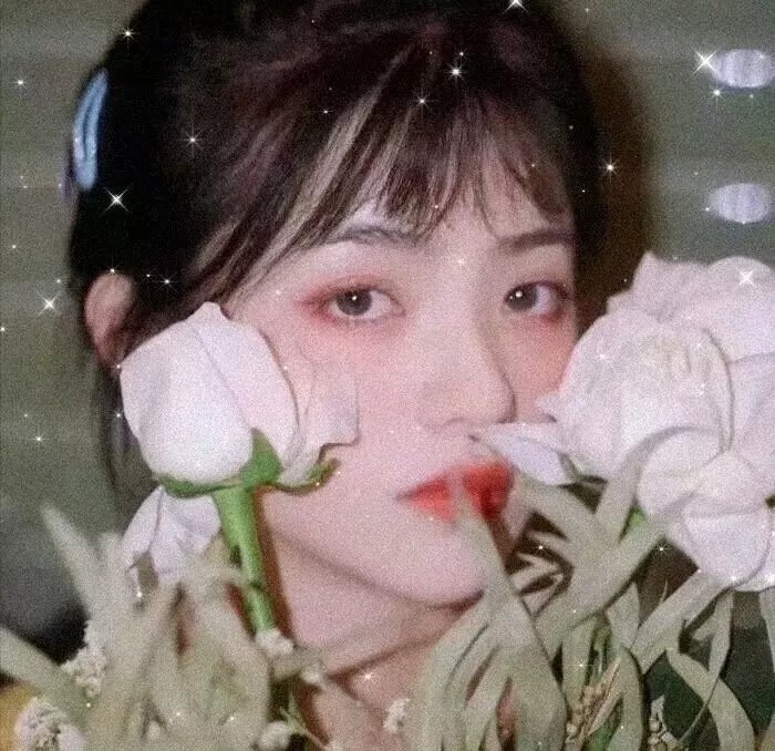 龙虎门